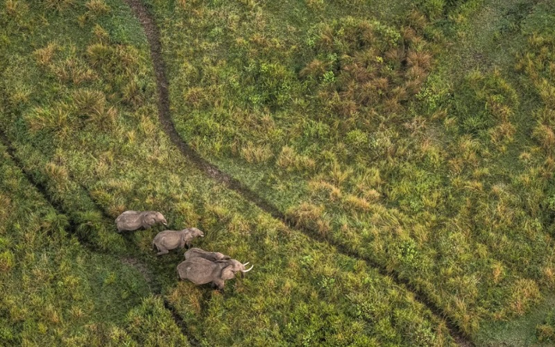7 Day Land of a Thousand Hills Rwanda Gorilla & Safari Tour